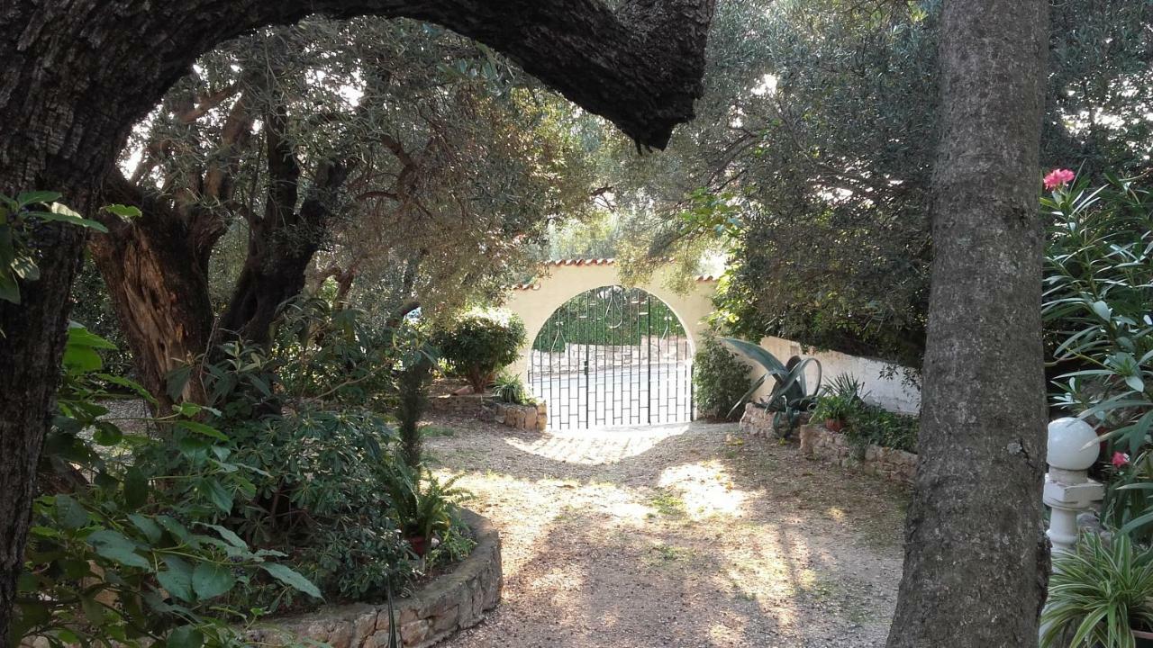 Daniela Apartment Makarska Room photo